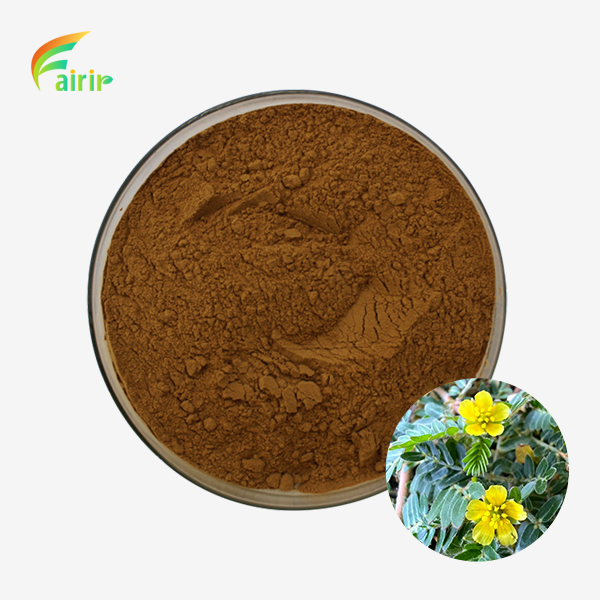 Tribulus Terrestris Extract Saponins